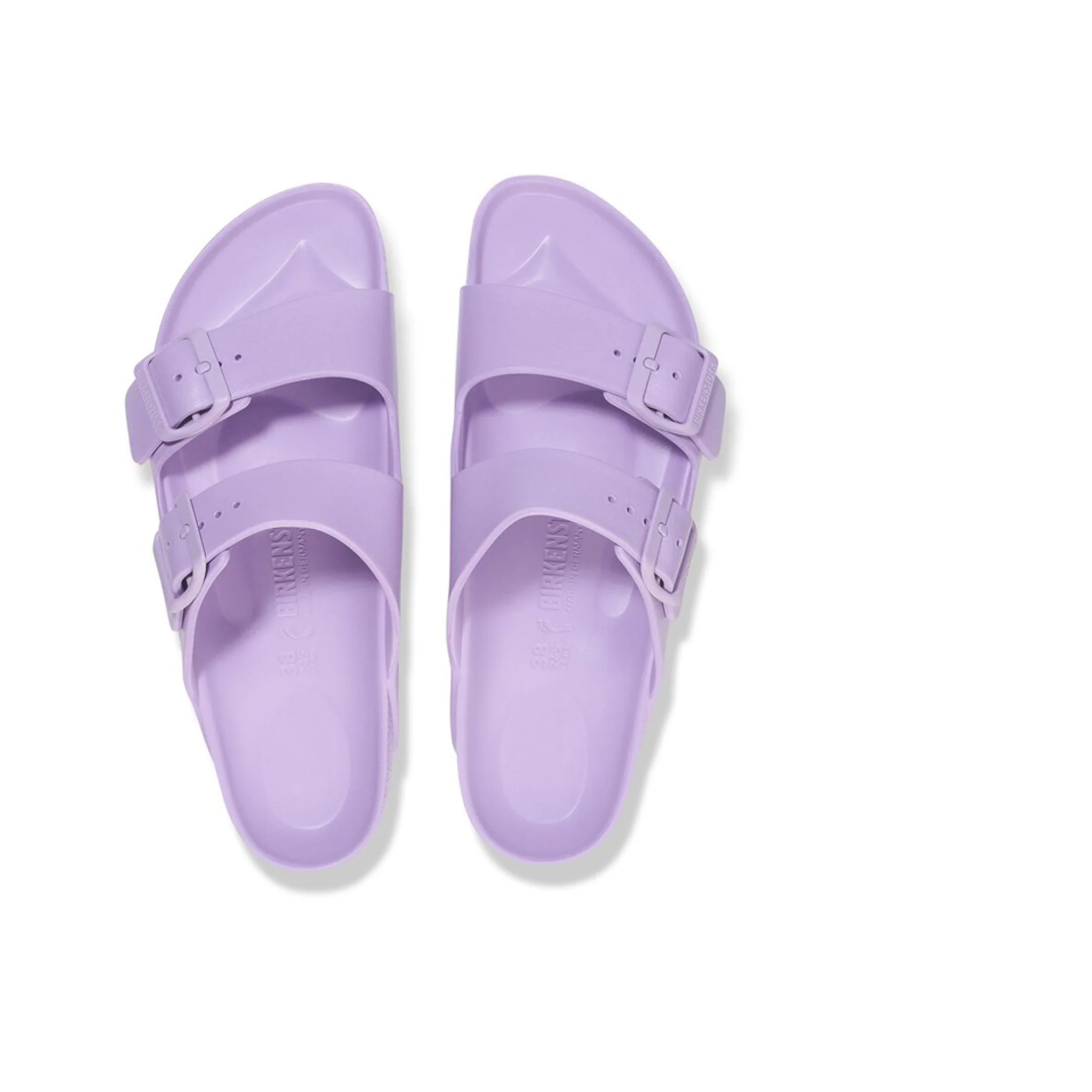 Arizona eva crocus , eva s - immagine 5