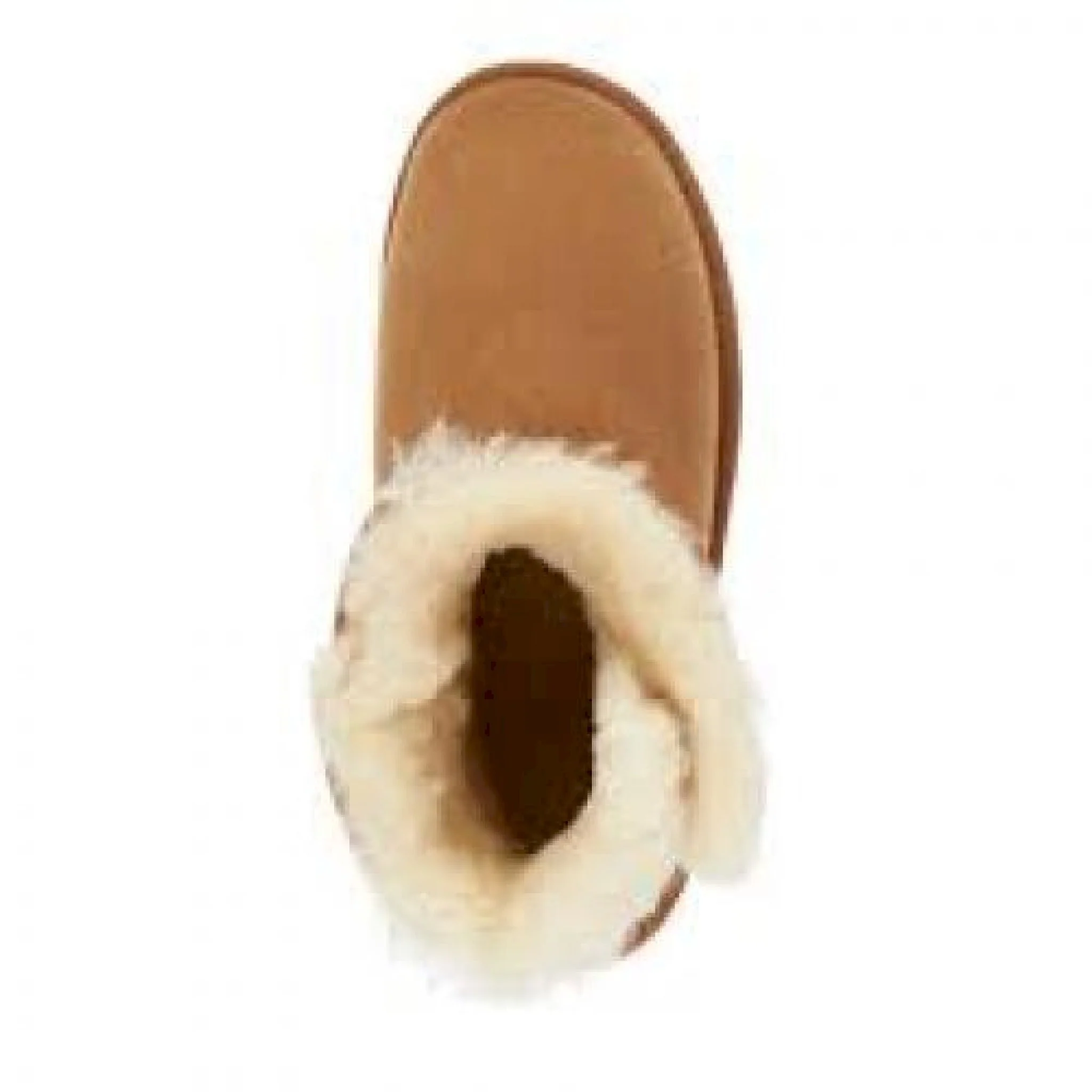 Denman mini - immagine 4