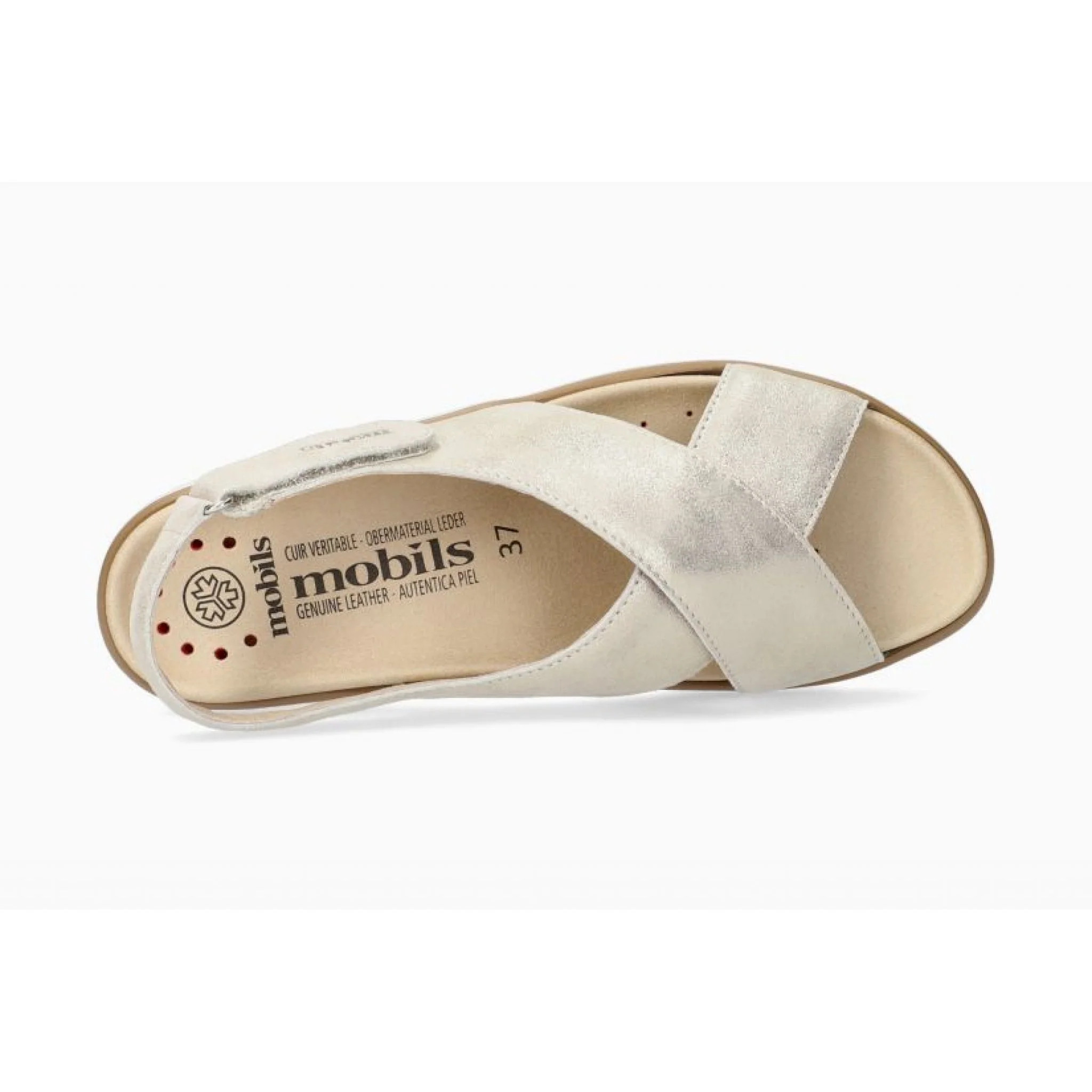 Cordelia monaco 2732 sand - immagine 4