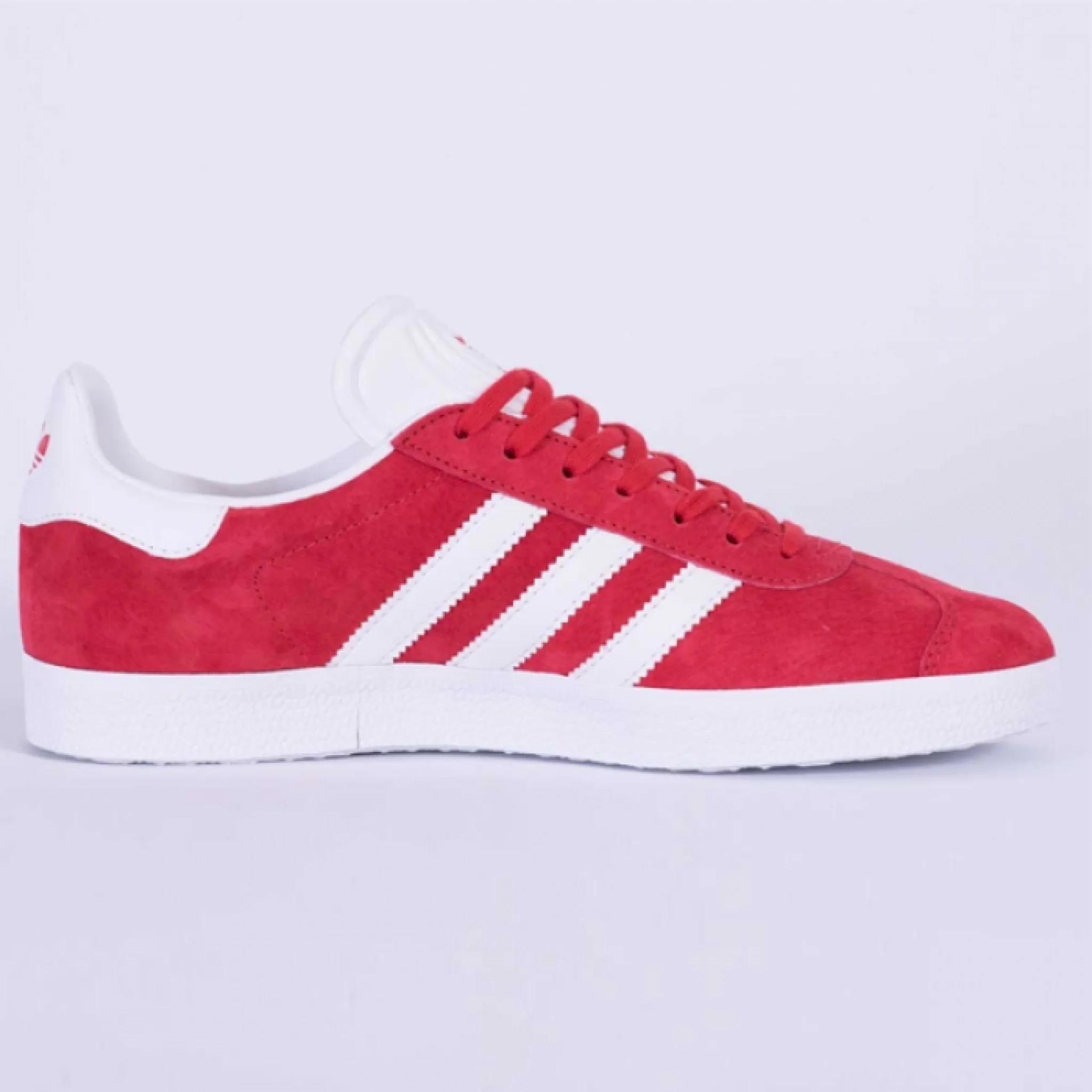 Gazelle - immagine 2