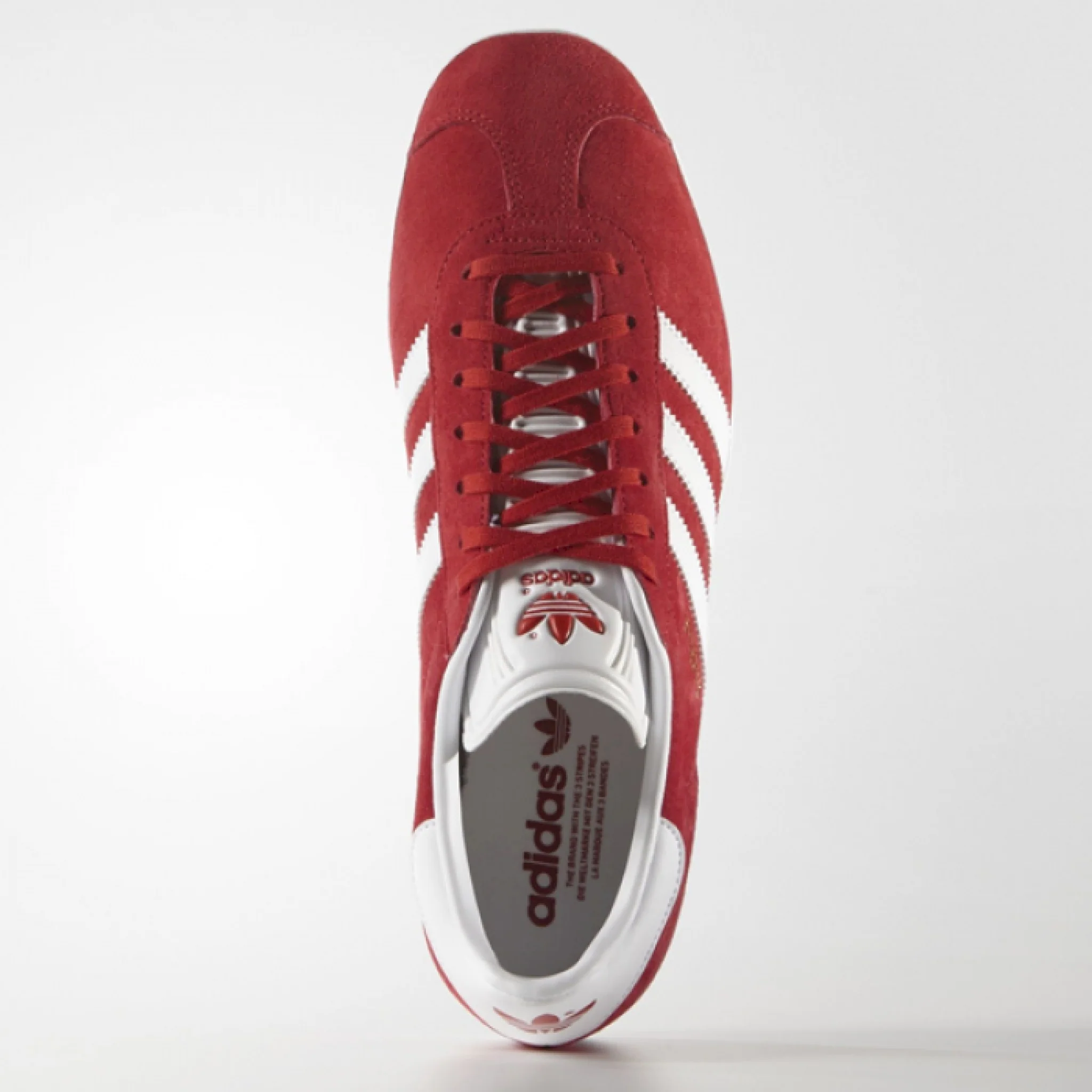 Gazelle - immagine 3