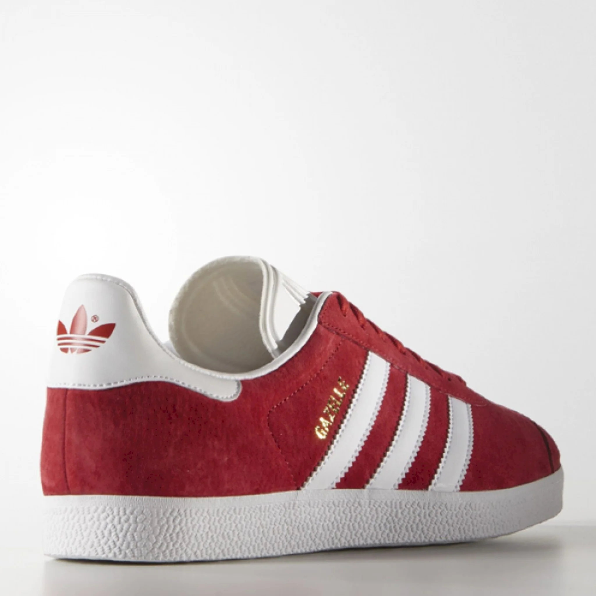 Gazelle - immagine 4