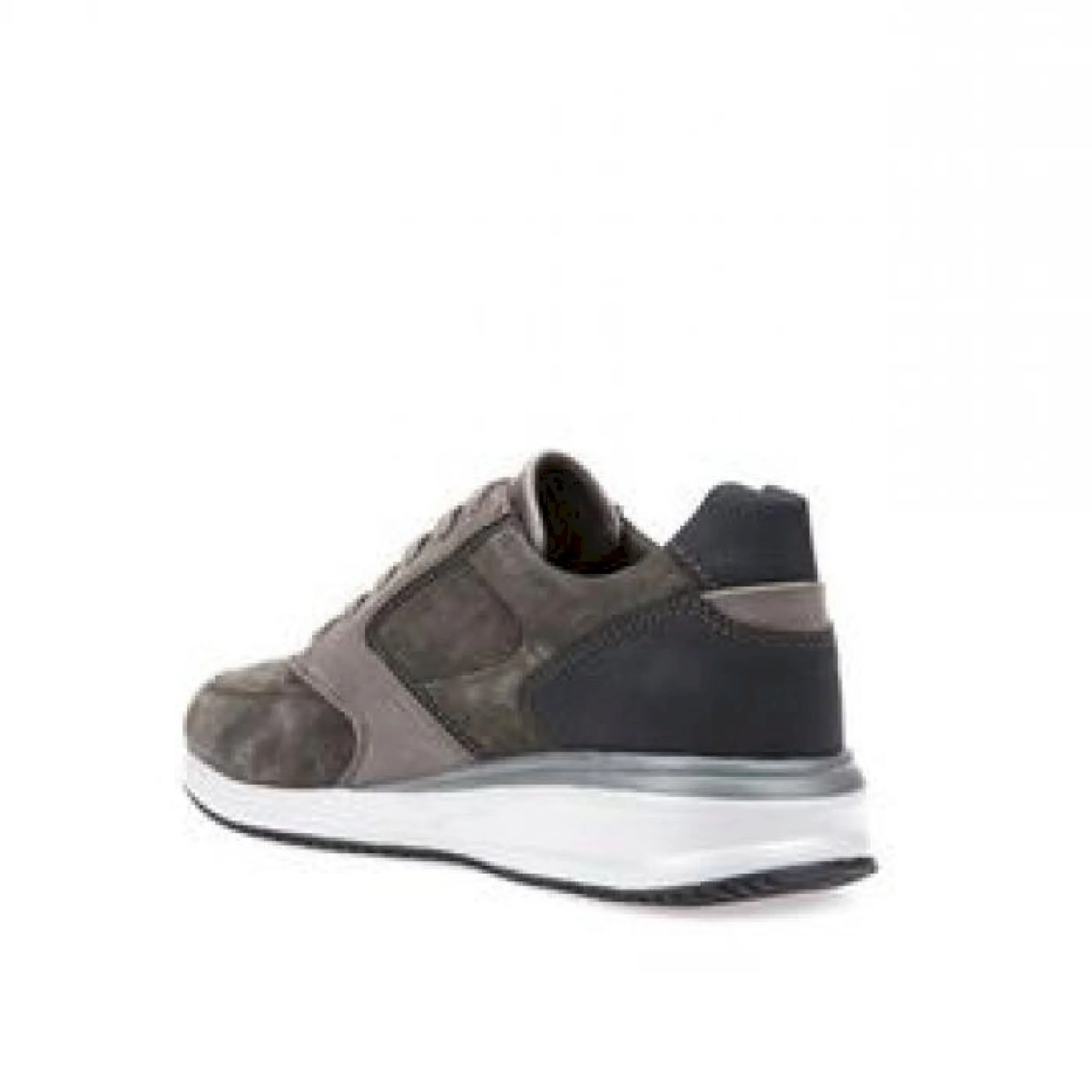 Dennie scamosciata - immagine 3