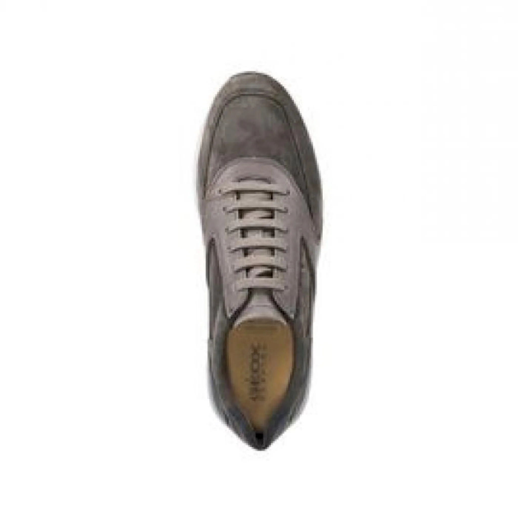 Dennie scamosciata - immagine 5